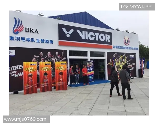 上海羽毛球队杯赛征程回顾与奋斗精神的深度剖析