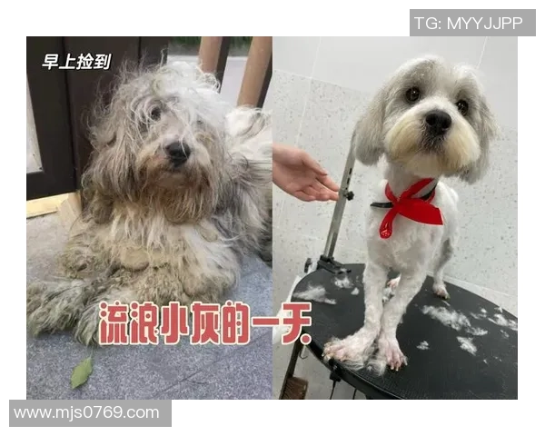 重庆滑板队的逆袭之旅:从街头到赛场的奋斗与荣耀 重庆滑板队的逆袭之旅:从街头到赛场的奋斗与荣耀