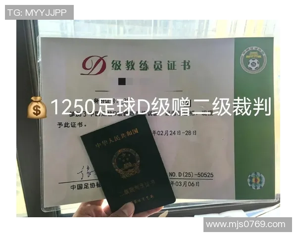 中国足球D级教练员资格查询及相关信息获取指南 中国足球D级教练员资格查询及相关信息获取指南
