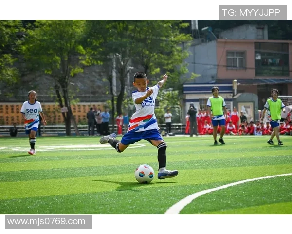 虎子说足球：从草根到职业的梦想与坚持之路