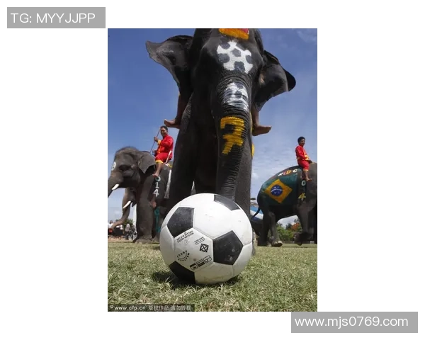 足球毒蛇的逆袭之路如何改变了绿茵场上的格局与未来