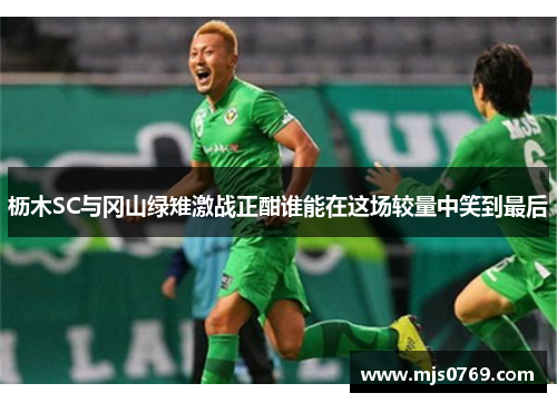 枥木SC与冈山绿雉激战正酣谁能在这场较量中笑到最后