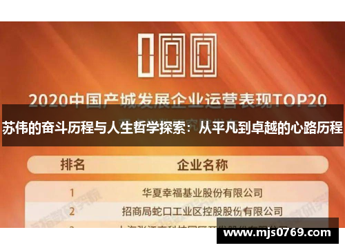 苏伟的奋斗历程与人生哲学探索：从平凡到卓越的心路历程